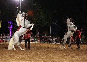 Espectáculo ‘Pasión y duende del caballo andaluz’.