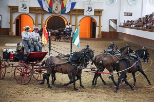 Exhibición de enganches, parte del espectáculo ‘Cómo bailan los caballos andaluces’ Foto: Ramón Azañón