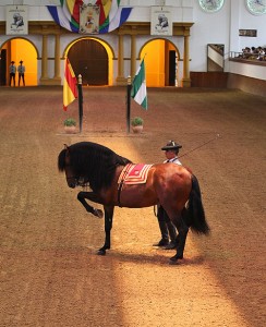 Momento del espectáculo ‘Cómo bailan los caballos andaluces’. Foto: Ramón Azañón Agüera.