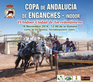 copa andalucia enganches