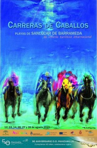 Cartel Carreras 2015