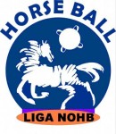 Logo liga Nohb